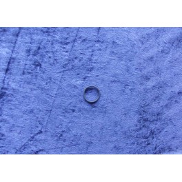 Bosch o-ring 2410210039