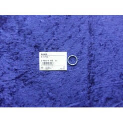 Bosch o-ring 2440210012