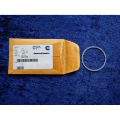 Cummins gasket 301123000