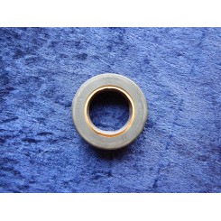 Cummins sealing ring 302019000