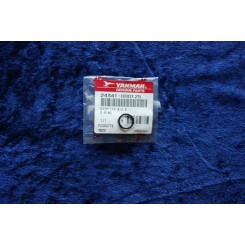 Yanmar gasket 24341-000125